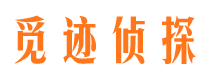 淄川市场调查